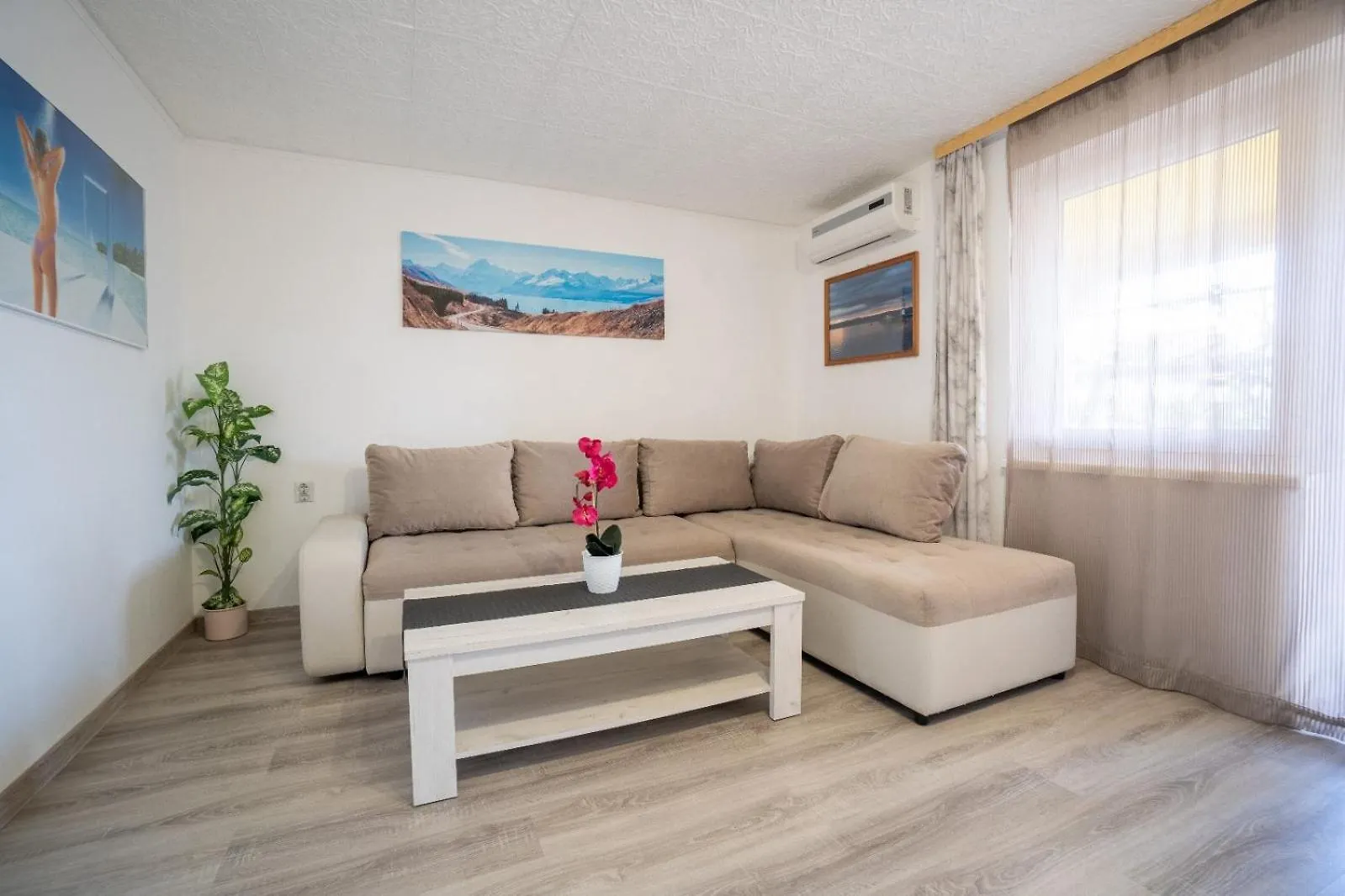 Apartments Pavic Vir