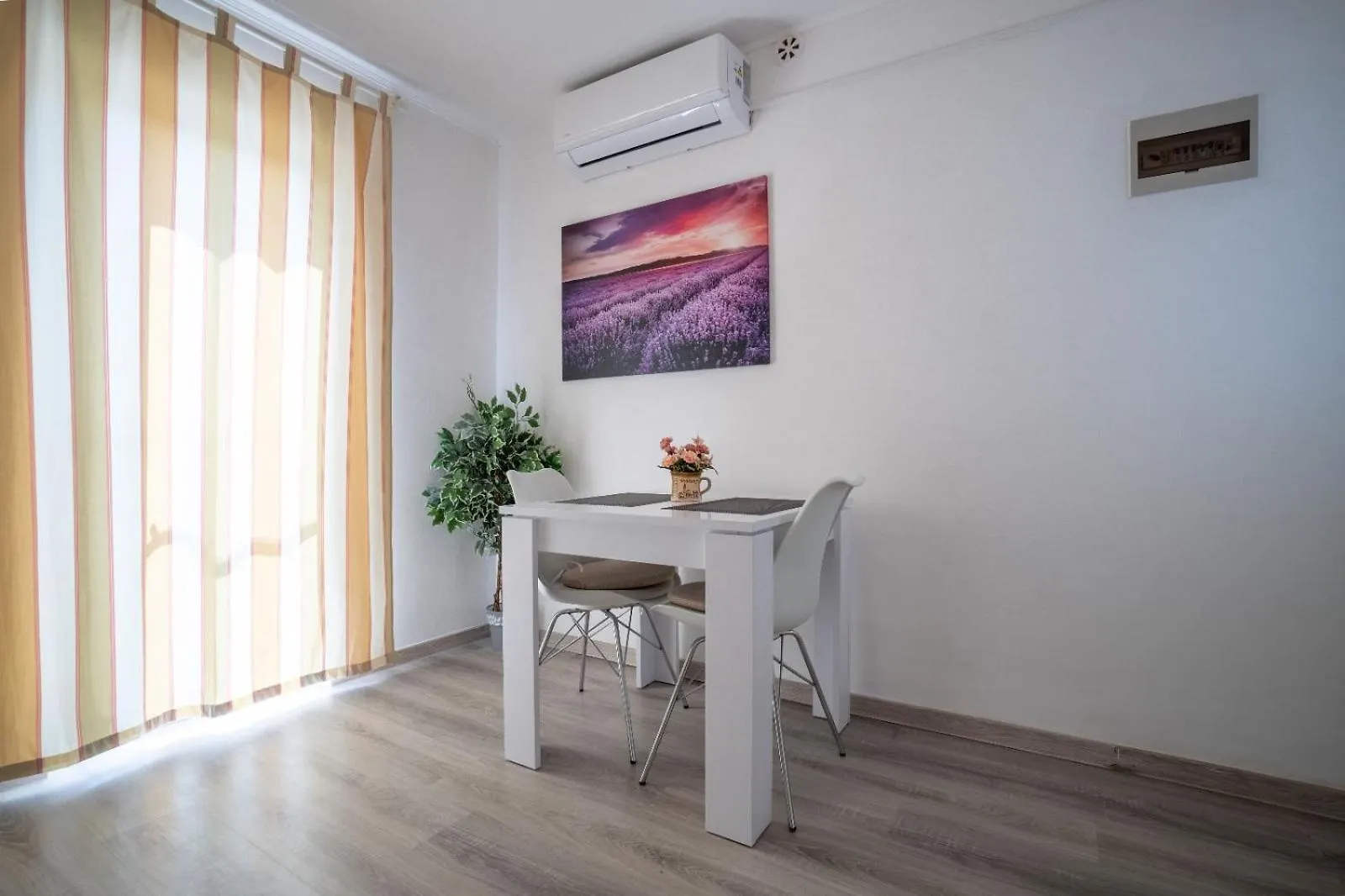 Apartments Pavic Vir Croatia